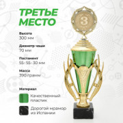 Кубок спортивный для награждения победителей и призеров 3 место 30 см.