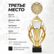 Кубок спортивный для награждения победителей и призеров 3 место 30 см.