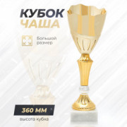 Спортивный кубок для награждения победителя 36 см