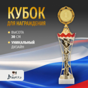 Спортивный кубок для награждения победителей и призеров 1 место красный 30 см.