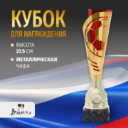 Кубок металлический для награждения победителей и призеров красный 27.5 см.