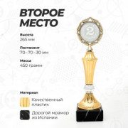 Кубок для награждения победителей и призеров соревнований и конкурсов за 2 место.