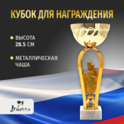 Спортивный кубок для награждения победителя 28.5 см