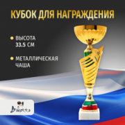 Спортивный кубок для награждения победителя 33.5 см