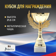 Подарочный кубок для награждения победителя 21.5 см