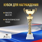 Спортивный кубок для награждения победителя 26.5 см