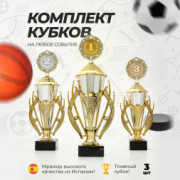 Кубок спортивный для награждения победителей, комплект из 3 шт. для 1, 2 и 3 места