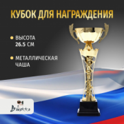 Спортивный кубок для награждения победителя 26.5 см