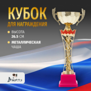 Спортивный кубок для награждения победителя 26.5 см