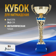 Спортивный кубок для награждения победителя 26.5 см