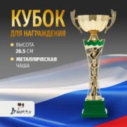 Спортивный кубок для награждения победителя 26.5 см