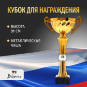 Спортивный кубок для награждения победителя 31 см