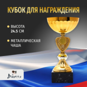 Спортивный кубок для награждения победителя 24.5 см