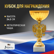 Спортивный кубок для награждения победителя 24.5