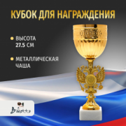 Спортивный кубок для награждения победителя 27.5 см