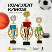 Кубок спортивный для награждения победителей, комплект из 3 шт. для 1, 2 и 3 места