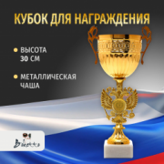 Спортивный кубок для награждения победителя 30 см