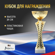 Спортивный кубок для награждения победителя 31 см
