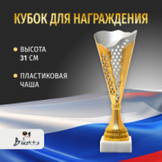 Спортивный кубок для награждения победителя 31 см