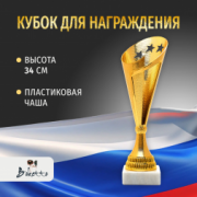 Спортивный кубок для награждения победителя 34 см