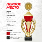 Кубок спортивный для награждения победителей и призеров 1 место 34 см.