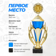Кубок спортивный для награждения победителей и призеров 1 место 34 см.