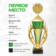Кубок спортивный для награждения победителей и призеров 1 место 34 см.