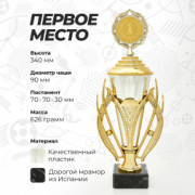 Кубок спортивный для награждения победителей и призеров 1 место 34 см.