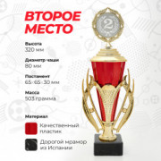 Кубок спортивный для награждения победителей и призеров 2 место 32 см.