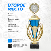 Кубок спортивный для награждения победителей и призеров 2 место 32 см.