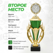 Кубок спортивный для награждения победителей и призеров 2 место 32 см.