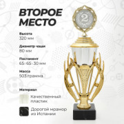 Кубок спортивный для награждения победителей и призеров 2 место 32 см.