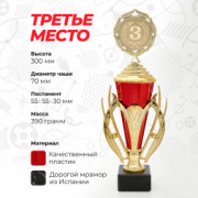 Кубок спортивный для награждения победителей и призеров 3 место 30 см.