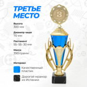 Кубок спортивный для награждения победителей и призеров 3 место 30 см.