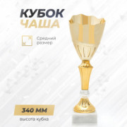 Спортивный кубок для награждения победителя 34 см